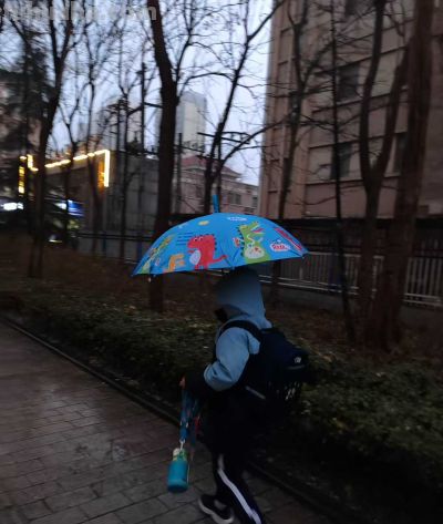 冬雨速写，疏朗有致~ - 图画吧TUHUABA