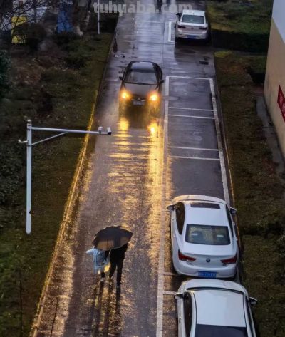 冬雨速写，疏朗有致~ - 图画吧TUHUABA