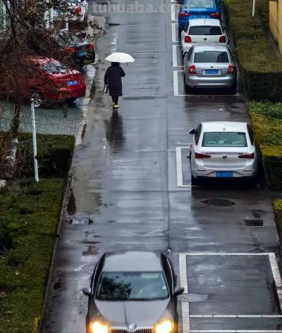 冬雨速写，疏朗有致~ - 图画吧TUHUABA
