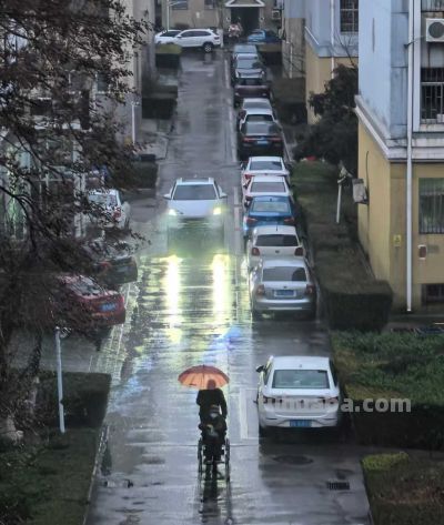 冬雨速写，疏朗有致~ - 图画吧TUHUABA