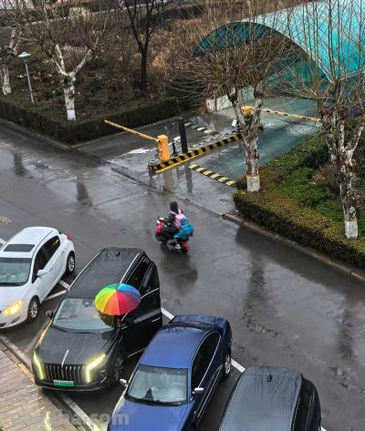 冬雨速写，疏朗有致~ - 图画吧TUHUABA