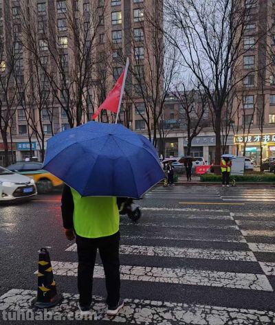 冬雨速写，疏朗有致~ - 图画吧TUHUABA