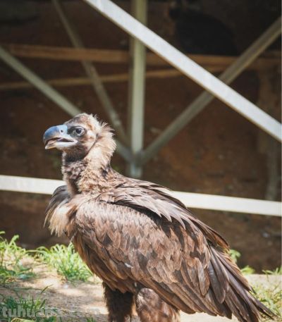 资深摄影器材爱好者告诉你:穷玩摄影,小投入也能玩出大快乐 - 今日头条 资深摄影器材爱好者告诉你:穷玩摄影,小投入也能玩出大快乐 - 图画吧TUHUABA