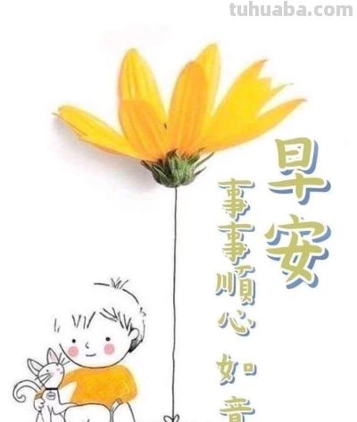 今日份早安治愈系花语✨ - 图画吧TUHUABA