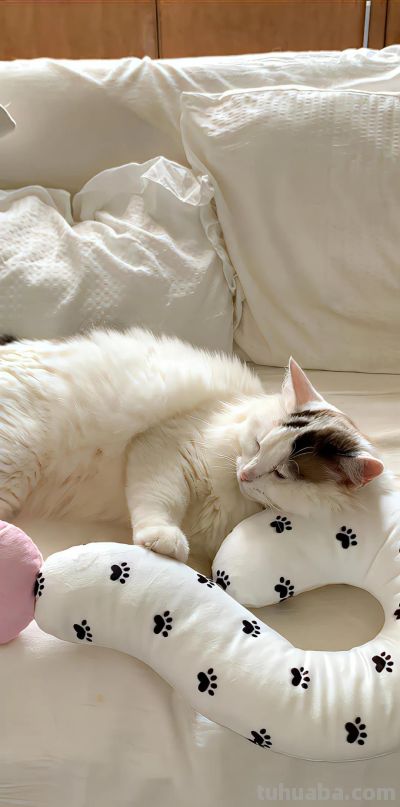 动漫萌宠小新简笔插画手机壁纸聊天背景图片 - 图画吧TUHUABA