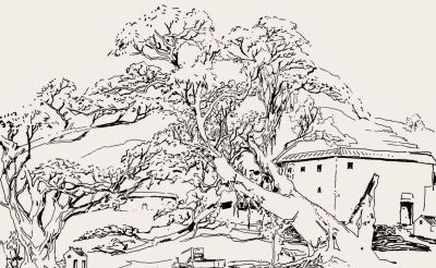 李书成速写与素描158幅入藏中国国家版本馆广州分馆 - 图画吧TUHUABA