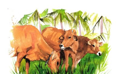 英国插画师Daria Malikova，诠释水彩的透明性和流动性 - 图画吧TUHUABA