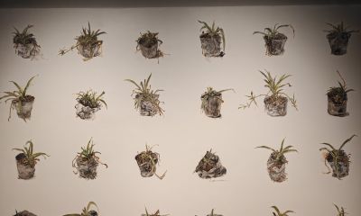 油画鉴赏 - 图画吧TUHUABA