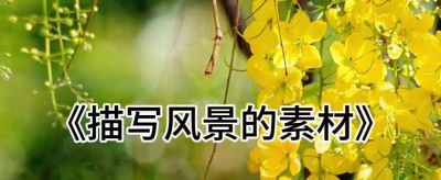 《风景速写素材指南》🌄✨✨ - 图画吧TUHUABA