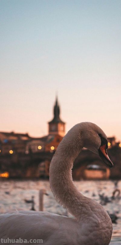 好看到爆的动漫壁纸 - 今日头条