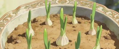 厨房蒜瓣别扔!在家种蒜苗,藏着治愈的烟火气 - 今日头条 厨房蒜瓣别扔!在家种蒜苗,藏着治愈的烟火气 - 图画吧TUHUABA