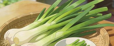 厨房蒜瓣别扔!在家种蒜苗,藏着治愈的烟火气 - 今日头条 厨房蒜瓣别扔!在家种蒜苗,藏着治愈的烟火气 - 图画吧TUHUABA