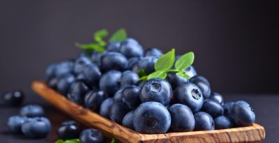 蓝莓种植全攻略：南北方品种解析，可盆栽，家庭实现蓝莓自由 - 图画吧TUHUABA