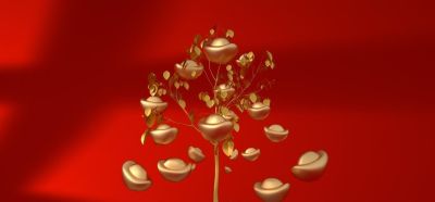 从“秃头”到爆盆！老花农三招救活发财树，叶子油亮挤着长 - 图画吧TUHUABA