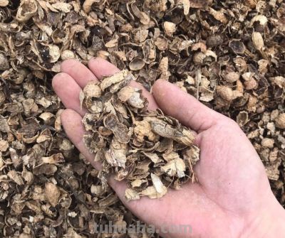 2025年低成本高回报多肉养护全攻略：热门品种推荐+市场趋势分析 - 图画吧TUHUABA