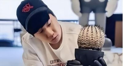 “多肉”有三大缺点，新手花友如果想入手，最好先了解一下 - 图画吧TUHUABA