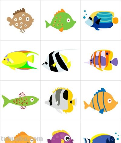 鱼的简笔画100种画法，绘画海洋生物！ - 图画吧TUHUABA