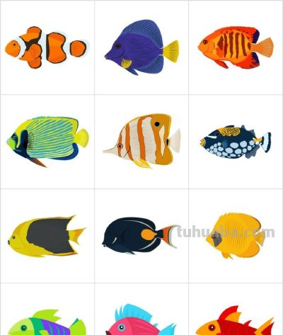 鱼的简笔画100种画法，绘画海洋生物！ - 图画吧TUHUABA