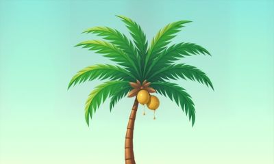 想给生活添点色彩？2022 年 2 月超火的简笔水彩椰子树教程又被… - 图画吧TUHUABA