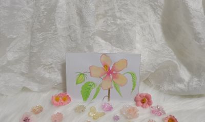 21 芙蓉（绘画 水彩 果花甘06） - 今日头条