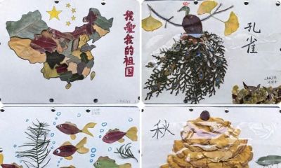 手抄报赋能跨学科阅读，点亮多彩校园文化——文县城关二小开展“跨学科抓阅读”实践活动 - 今日头条