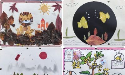 手抄报赋能跨学科阅读，点亮多彩校园文化——文县城关二小开展“跨学科抓阅读”实践活动 - 图画吧TUHUABA