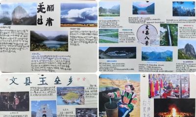 手抄报赋能跨学科阅读，点亮多彩校园文化——文县城关二小开展“跨学科抓阅读”实践活动 - 图画吧TUHUABA
