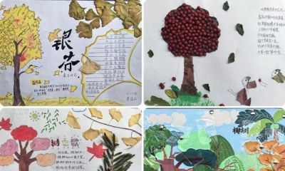 手抄报赋能跨学科阅读，点亮多彩校园文化——文县城关二小开展“跨学科抓阅读”实践活动 - 图画吧TUHUABA