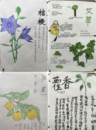 手抄报赋能跨学科阅读，点亮多彩校园文化——文县城关二小开展“跨学科抓阅读”实践活动 - 图画吧TUHUABA