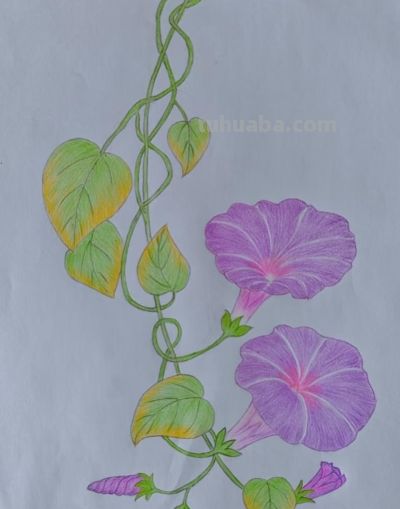 小众手机壁纸：彩铅画 - 图画吧TUHUABA