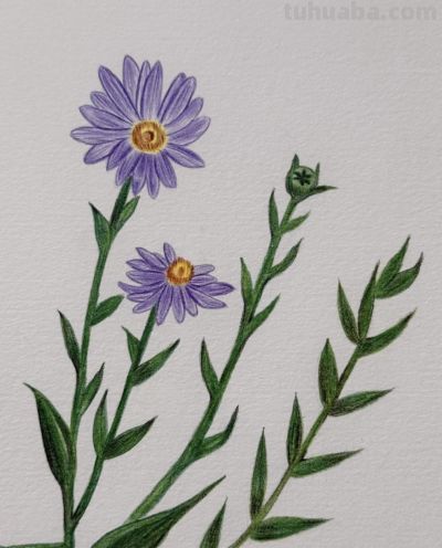 小众手机壁纸：彩铅画 - 图画吧TUHUABA