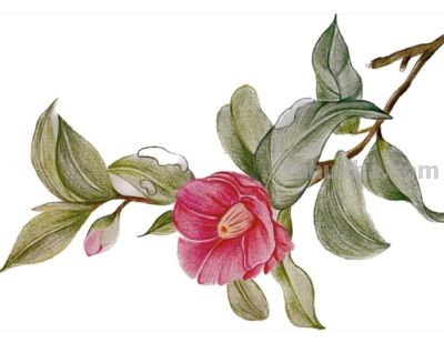 小众手机壁纸：彩铅画 - 图画吧TUHUABA