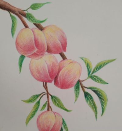 小众手机壁纸：彩铅画 - 图画吧TUHUABA