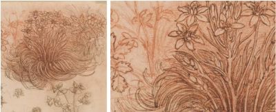 素描里的达·芬奇绘画密码 - 图画吧TUHUABA