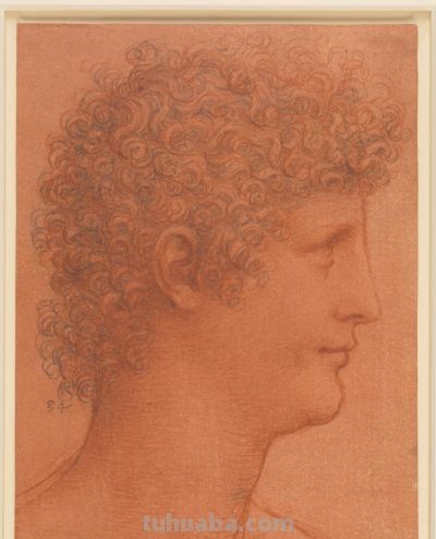 素描里的达·芬奇绘画密码 - 图画吧TUHUABA