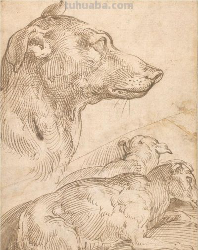 素描里的达·芬奇绘画密码 - 图画吧TUHUABA