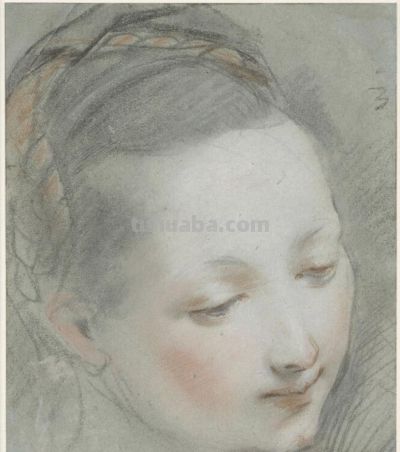 素描里的达·芬奇绘画密码 - 图画吧TUHUABA