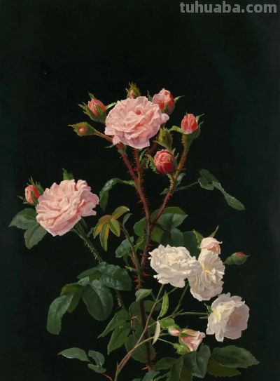 来自乔治·科克伦·兰伯丁 一组花卉静物的油画作品。 - 图画吧TUHUABA