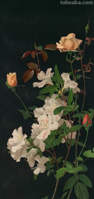 来自乔治·科克伦·兰伯丁 一组花卉静物的油画作品。 - 图画吧TUHUABA