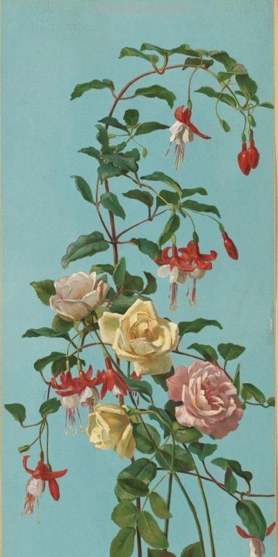 来自乔治·科克伦·兰伯丁 一组花卉静物的油画作品。 - 图画吧TUHUABA