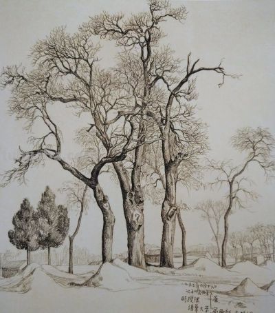 大师作！吴冠中罕见风景速写60幅 - 图画吧TUHUABA