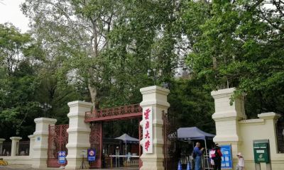 唐晓华钢笔画写生和速写作品50幅 - 图画吧TUHUABA