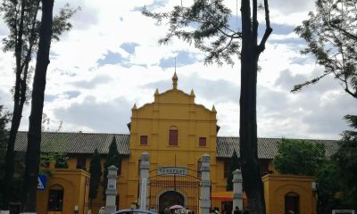 唐晓华钢笔画写生和速写作品50幅 - 图画吧TUHUABA