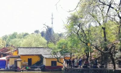 唐晓华钢笔画写生和速写作品50幅 - 图画吧TUHUABA