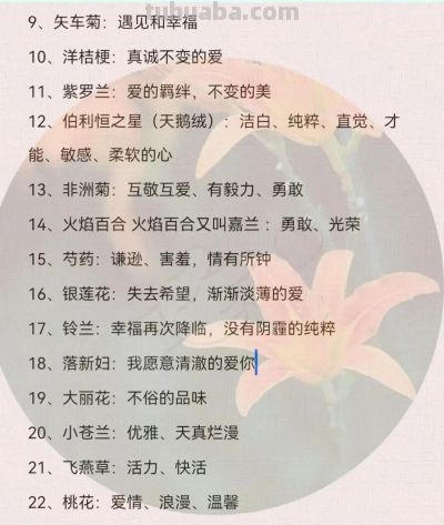 100种花语大全 !送给最爱的人 - 今日头条 100种花语大全 !送给最爱的人 - 图画吧TUHUABA