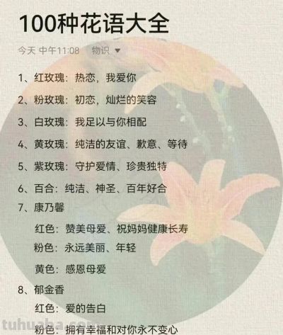 100种花语大全 ！送给最爱的人 - 今日头条