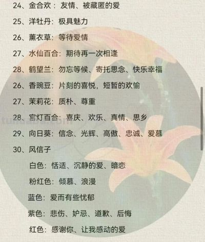 100种花语大全 !送给最爱的人 - 今日头条 100种花语大全 !送给最爱的人 - 图画吧TUHUABA
