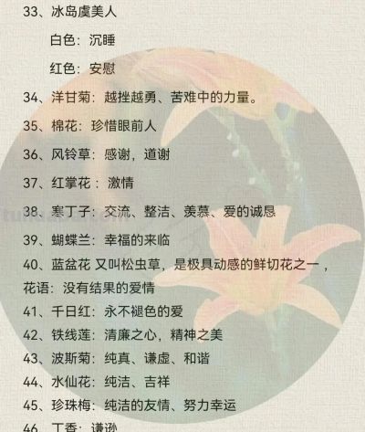 100种花语大全 !送给最爱的人 - 今日头条 100种花语大全 !送给最爱的人 - 图画吧TUHUABA