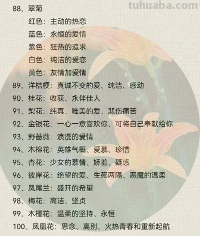 100种花语大全 !送给最爱的人 - 今日头条 100种花语大全 !送给最爱的人 - 图画吧TUHUABA