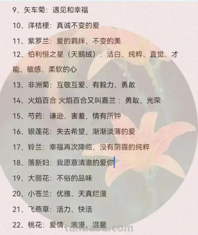100种花语大全 ！ - 图画吧TUHUABA